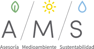 AMS Consultores